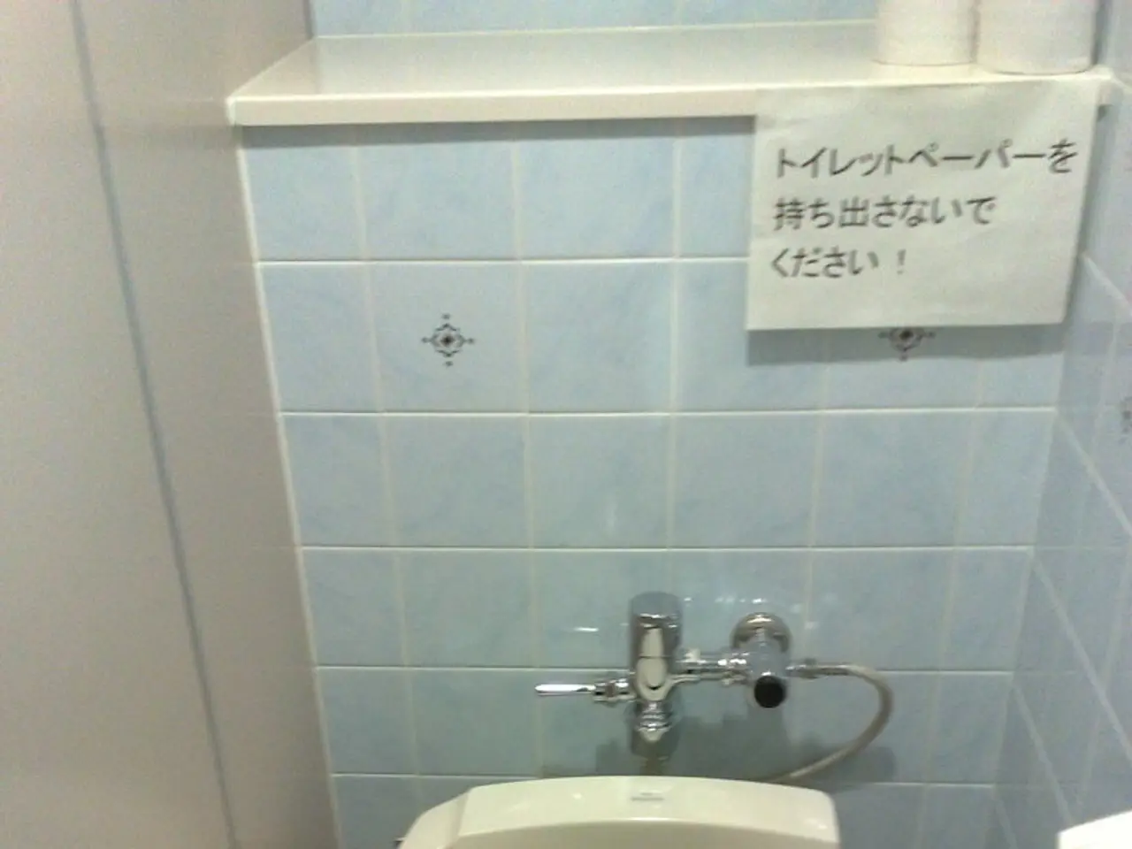 Unsanitary toilet paper practice: The majority of individuals commit an error that compromises...