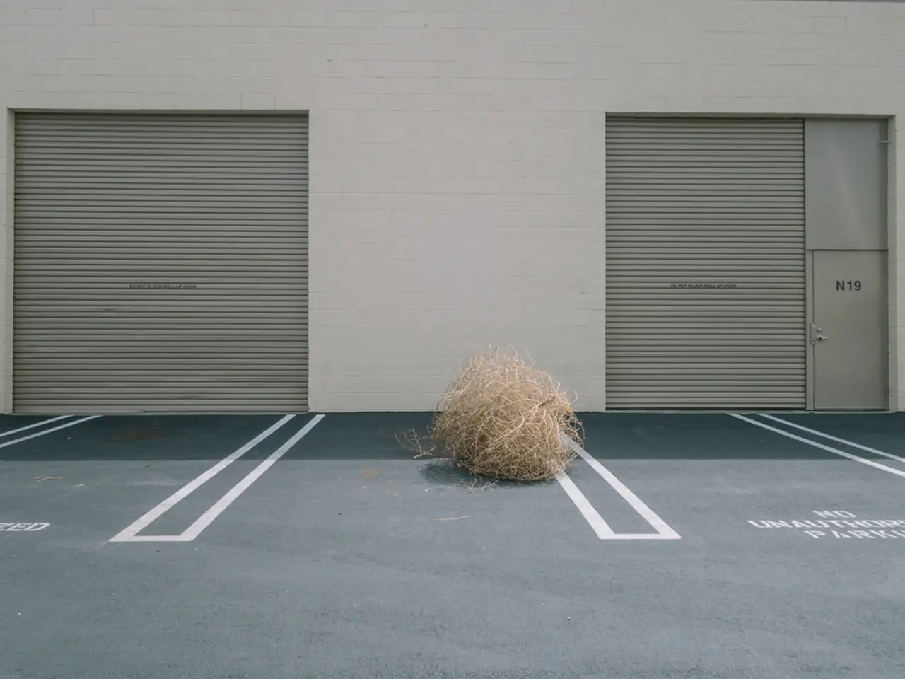 Boost Your Dietary Fiber Intake