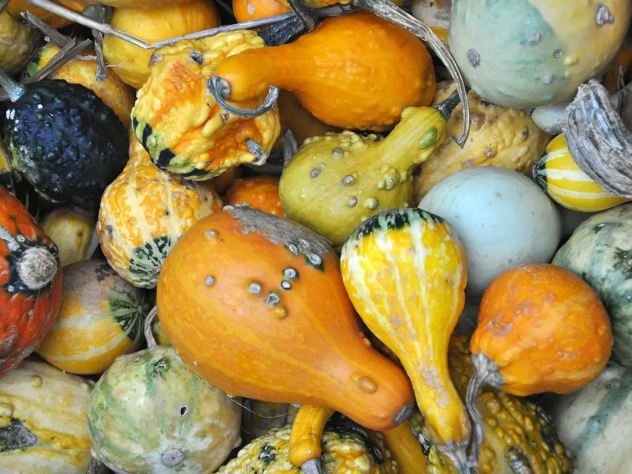 The Mystery Behind the Vibrant Hues of Fruits and Vegetables Unraveled