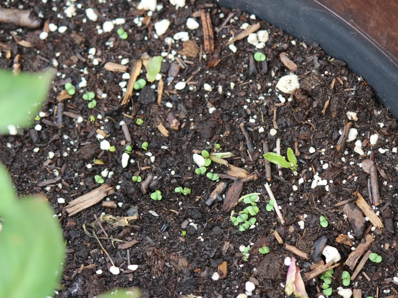 Varieties of Chemical Fertilizers Used in Agriculture Across India