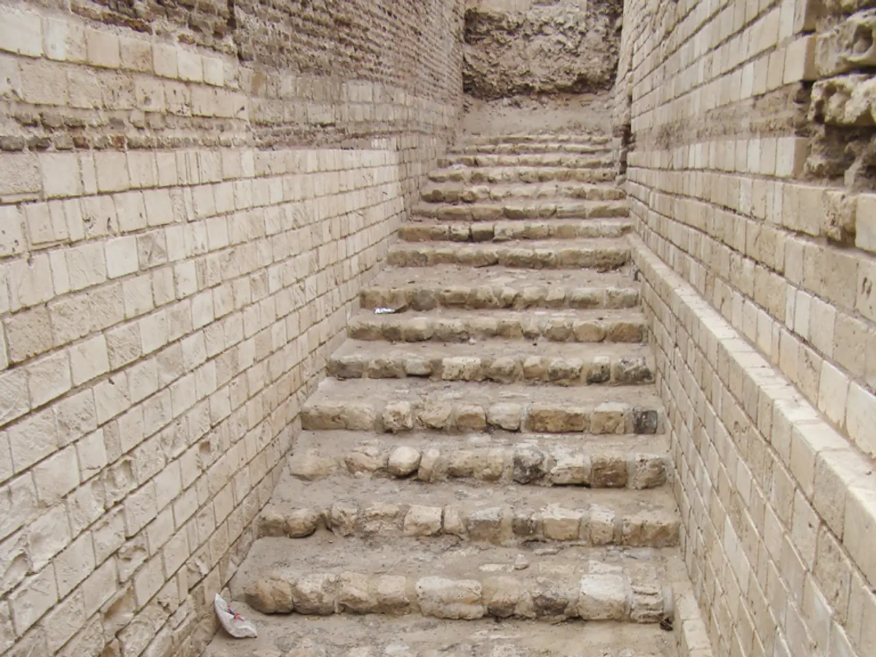 Recommended exercises for beginners aiming to enhance their strength and prolong their lifespan, as...