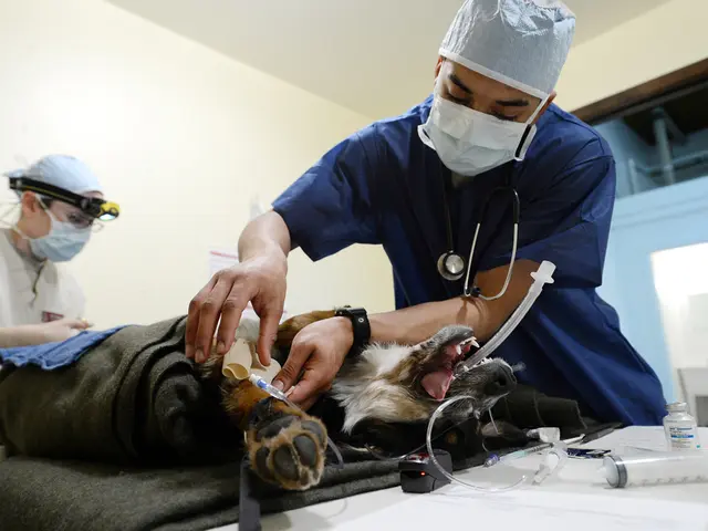 Butchers in France are forced to shut down due to a string of childhood illnesses.