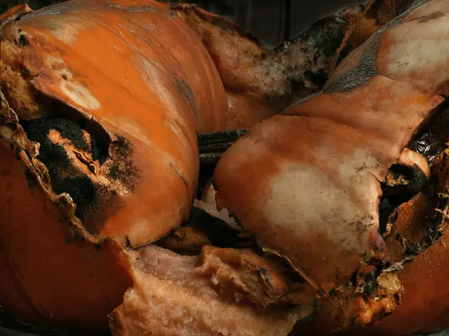 French authorities shut down slaughterhouses following a sequence of child illnesses.