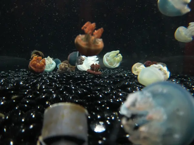 Fourth fatal case of amoebic encephalitis in Sindh, Pakistan, 2025