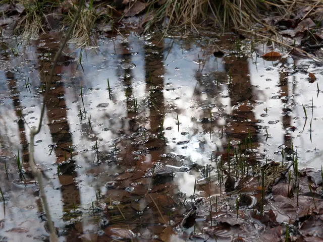 Contaminated water in Euskirchen requires boiling for safe consumption