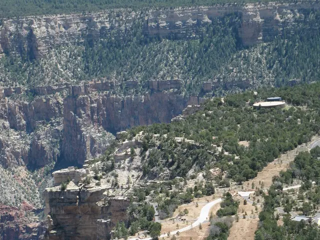 Elderly driver collides with a tree, resulting in fatal accident at the age of 86