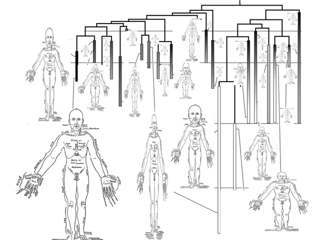 Enzymes: Role, Description, and Illustrative Cases