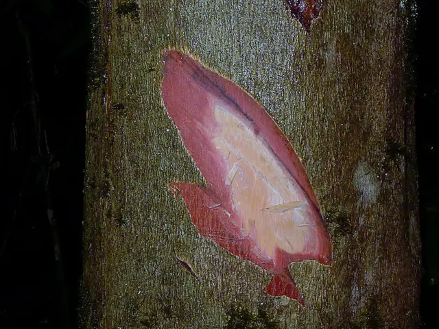 Pursuing a vision: a tenant farmer's son is dedicated to creating breakthrough stem cell treatments