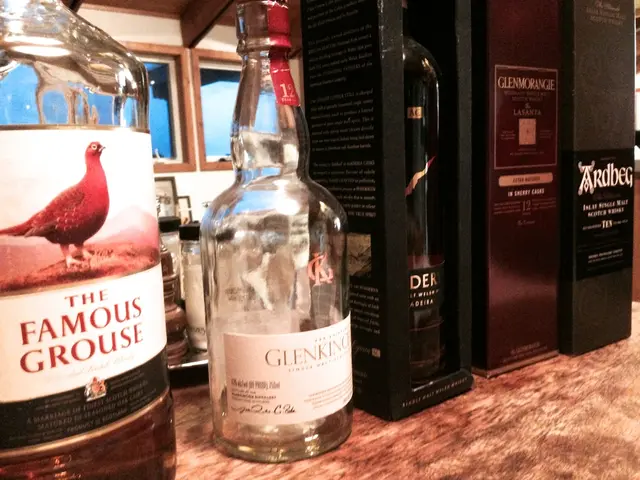 Cost of Establishing a Sober Living Facility: Insight into Financing a Recovery Home