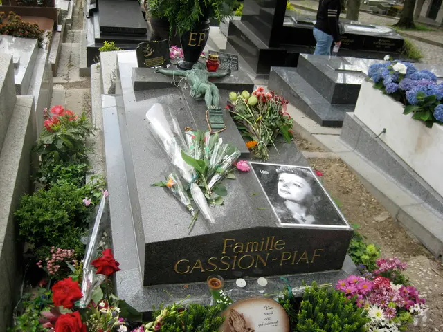 Older adult Julia B. King, known as Julia B. Montoya King, tragically passed away at 95 years of...