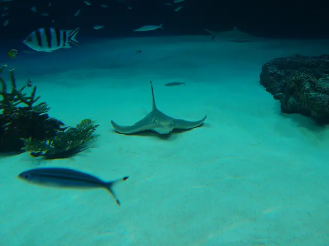 Questions about Ocean Depletion of Oxygen: