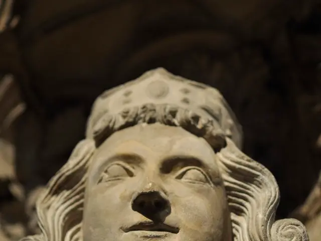 Differentiating Between Kidney and Back Issues: Location, Symptoms, and Additional Factors