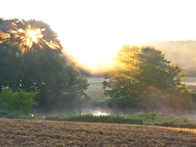 Soil Respiration Report: Insights into the Fundamentals of Our Existence