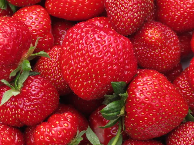 Red berries may trigger allergies in Nizhny Novgorod, according to a local physician's explanation.