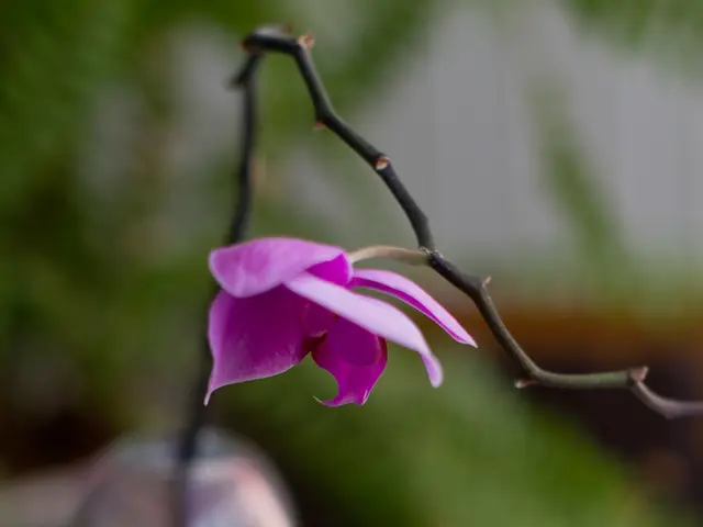 Expanded label granted to Boston Scientific for treatment of persistent atrial fibrillation with...