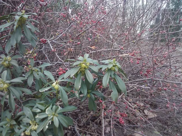 Left-side chest pain: Potential sources and reasons