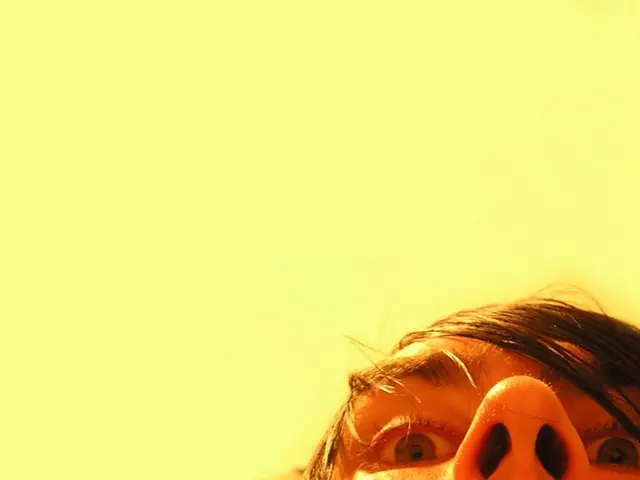 Comprehensive Treatment Strategy for People Suffering from Nager Syndrome