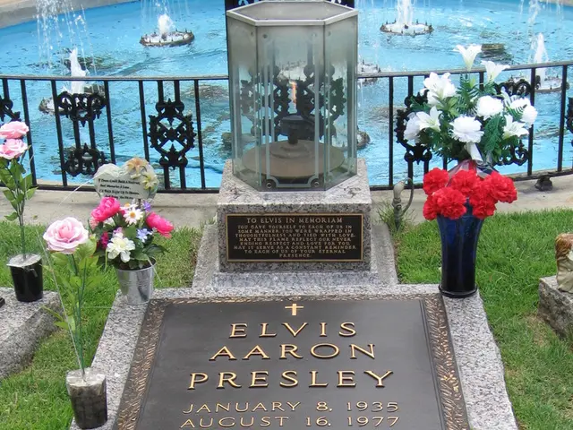 Discovering Reliable Memory Care and Assistance Services in Your Area