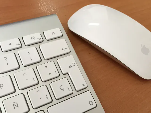 Diving into the Puzzle of Brain Cells: Investigating the Basic Units of the Nervous System