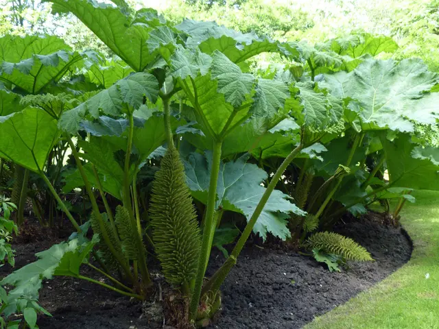 Exploring the Mysteries of Earth: An In-depth Look at Botany and Soil Research