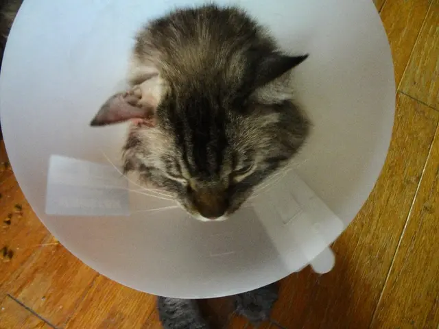 Biomedical company Anaconda Biomed successfully attains CE Mark for their ANA5 Funnel Catheter...