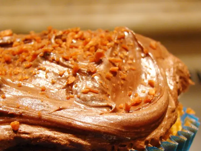 Gazan Famine Poses Deadly Threat, Warns WHO