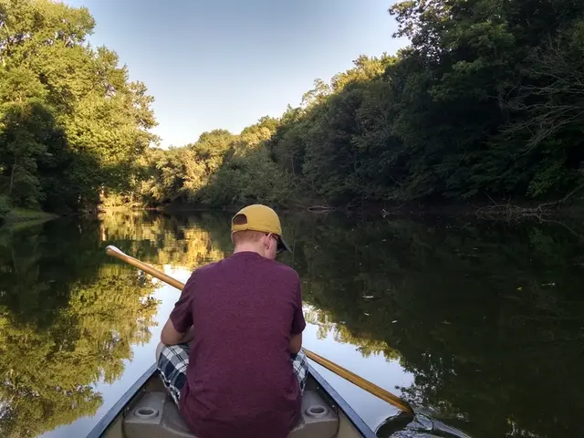 The Advantage of a Rowing Machine Workout Over Other Typical Cardio Exercises