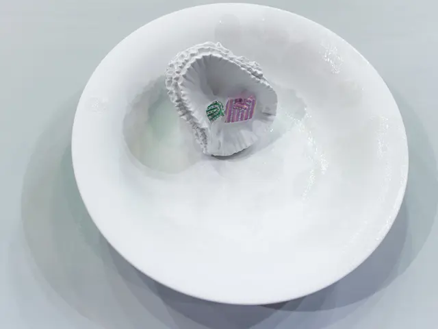 Insulation Coatings Market Set to Reach a Value of USD 17.1 Billion by the Year 2034