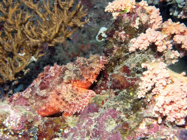 Ocean Acidification Disrupts Crucial Biological Process