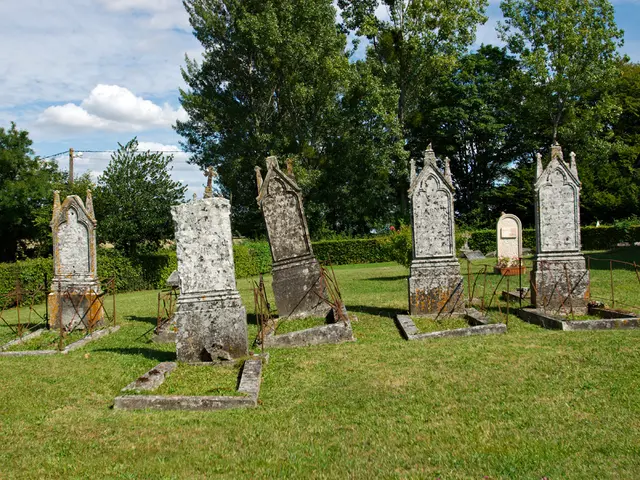 Classification and Explanation of Twelve Different Kinds of Deaths