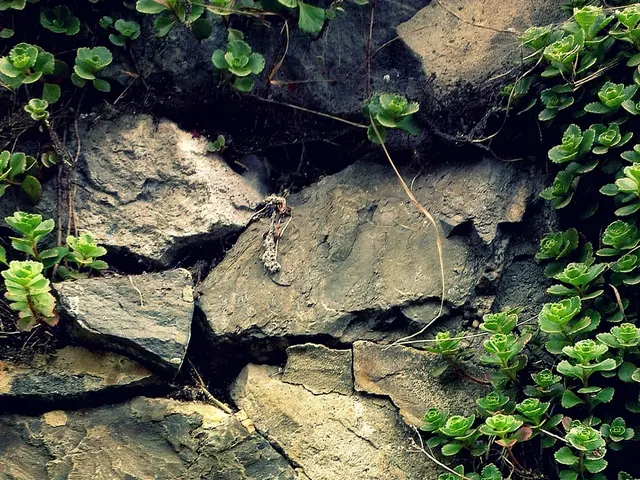 Investigating the Different Types of Quartz Crystals