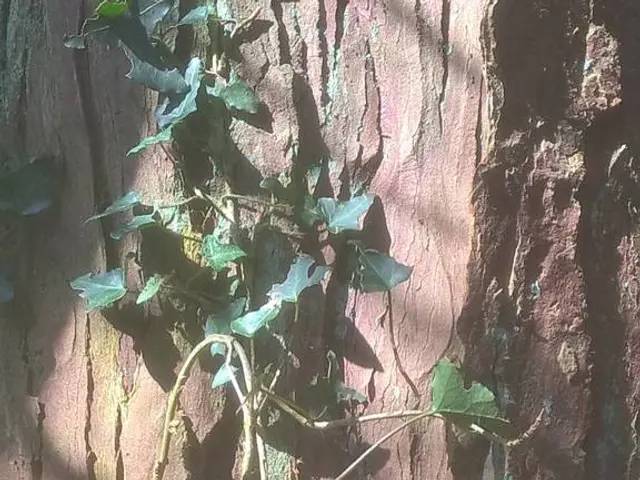 Bartholin's Cyst: Causes, Remedies, and Signs to Watch Out For