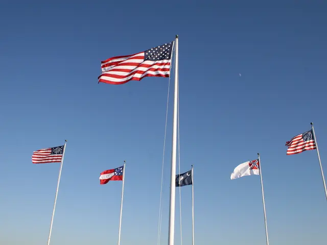 Immunological disorders: Classifications, potential hazards, examinations, and additional details