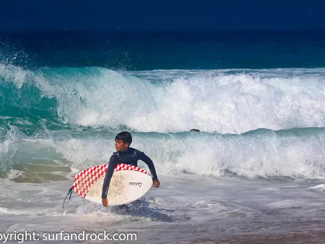 Confirmation of a fatality due to a scarce and lethal 'brain-consuming protozoan' derived from a...