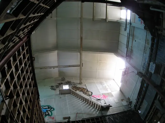 Top 8 Iron Enhancement Supplements on the Market