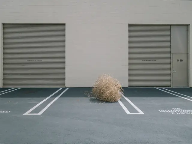 Boost Your Dietary Fiber Intake