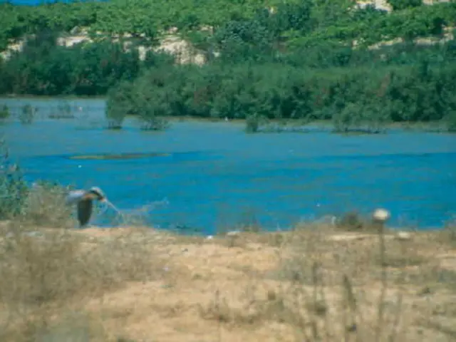 Impact of Acid Rain on Soil and Vegetation Health