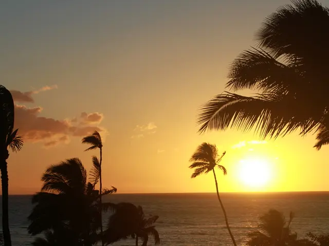 Solar Probe Parker snaps unprecedented images of the sun during groundbreaking voyage