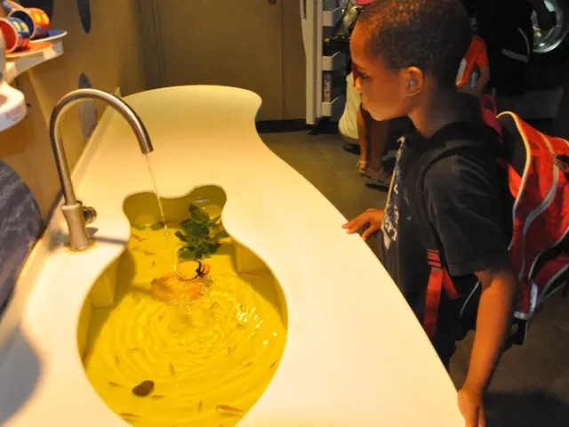 Essential Role of Water and Hydration in Ensuring Healthy Living for Nigerian Children