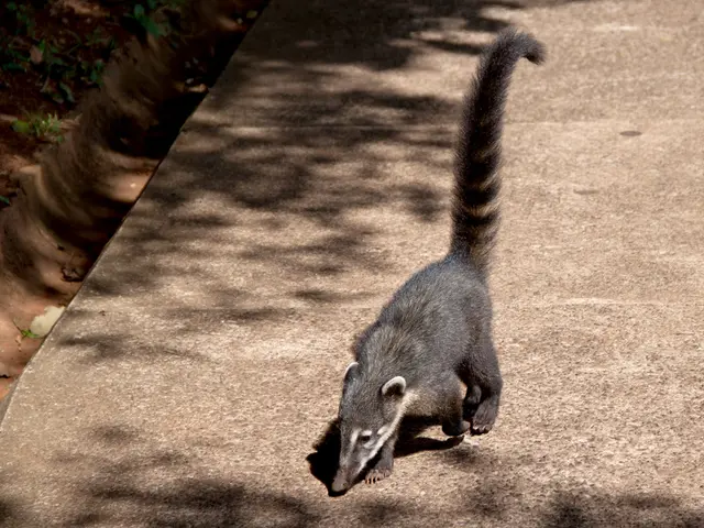 Experiencing Side Effects with Tagrisso: Identifying Them and Coping Strategies