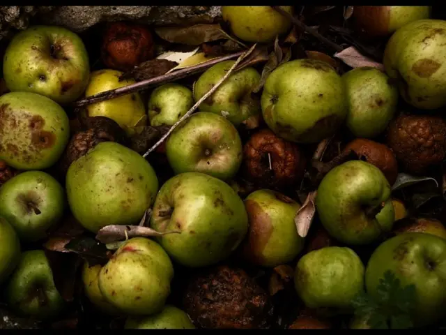 Nuclei capable of inducing toxicity