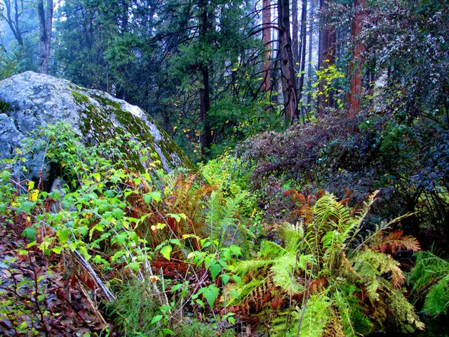 Limited Entry Zone Established Near Volcanic Eruption