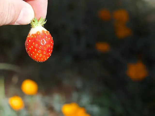 Seventeen alternative methods for managing GERD: Nutritional adjustments, herbal solutions, proper...