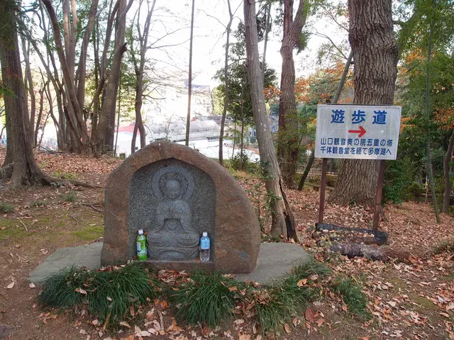 "Sebastian Kneipp is my fervent interest"