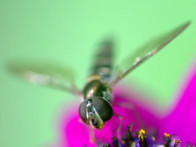 Immunity building through desensitization: a potential solution for allergies and hay fever