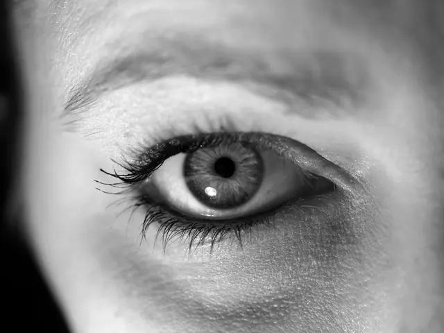 RevitalizeYour Eyes' Youthfulness with Elastifirm Eye Restore, Equipped with Peptides and Arnica