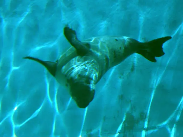 Dental Filling Procedure, Post-Treatment Care, Price Breakdown, and Additional Insights