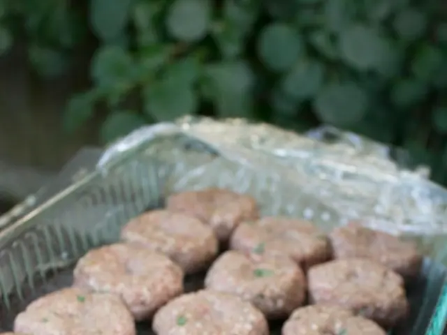 Top-Rated Eco-Friendly Dish Sponges sans Plastic, Thoroughly Evaluated