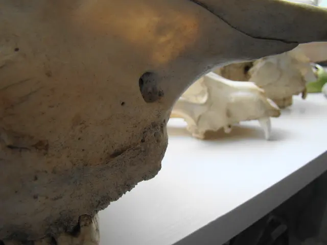 Radiation Explained: A Look at Ionizing and Non-Ionizing Radiation and Their Effects on Matter