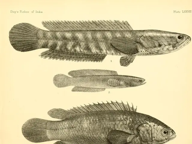 Unveil the Remarkable Advantages of Omega-3 Fish Oil Supplements